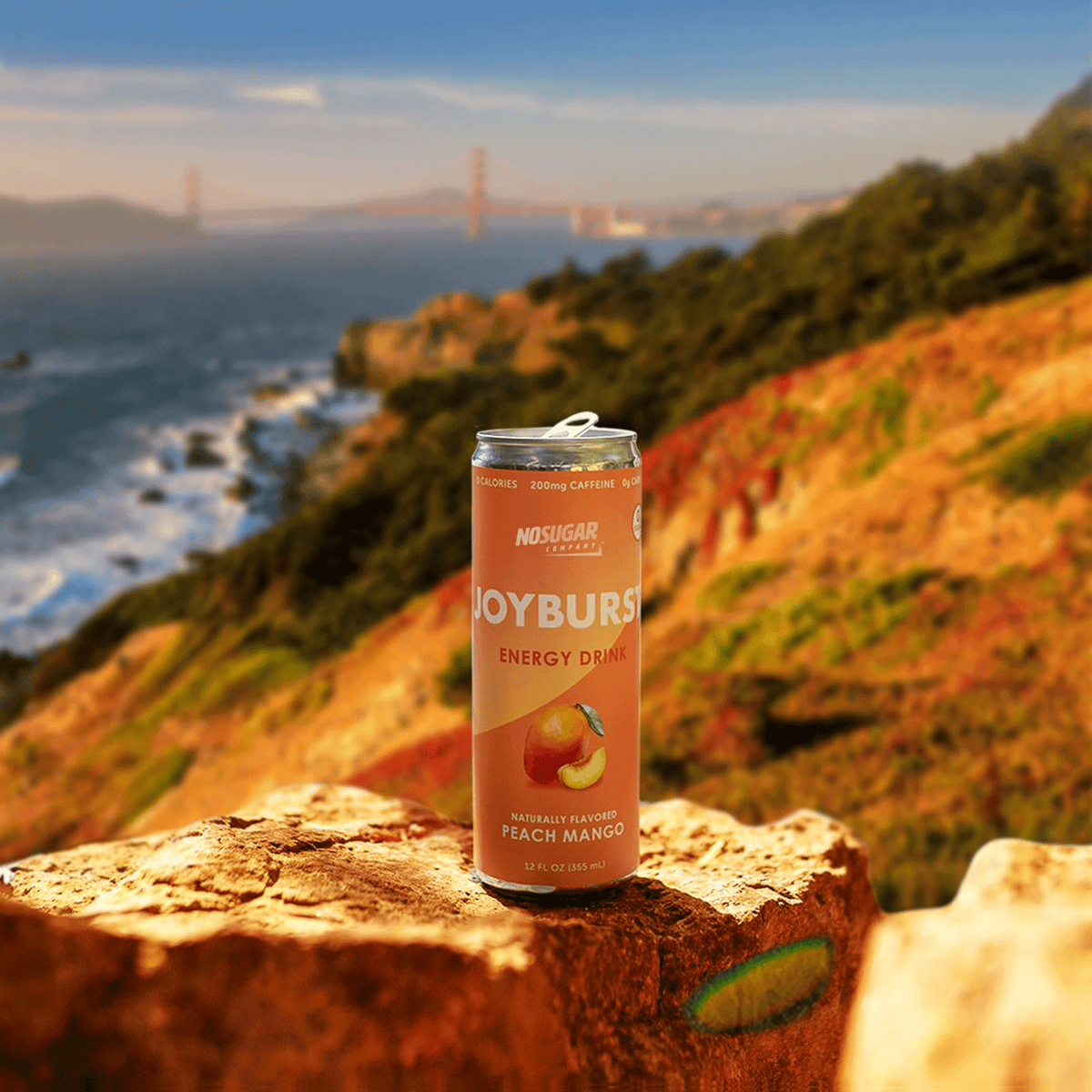 Joyburst Energy Drink Variety Pack - 12 pack